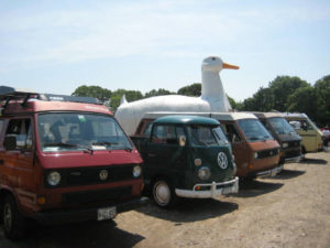 buses by the big duck